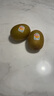 佳沛（zespri）新西蘭 新果季 陽光金奇異果33粒原箱單果重約101-114g 獼猴桃 曬單實(shí)拍圖