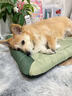 SMVP狗窩狗狗睡墊狗墊子四季小中大型犬貓窩寵物夏季防水耐咬可拆洗 L-55*75cm【適合25斤內寵物】 四季通用 加高護頸 隔濕防尿 【豆綠】耐抓耐咬不粘毛 曬單實(shí)拍圖