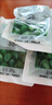 臘八蒜正宗綠蒜新鮮泡蒜頭山東特產(chǎn)腌制泡菜糖醋蒜 1002g分2壇 曬單實拍圖