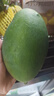 京鮮生 攀枝花凱特芒果 凈重4.5斤 單果600g 水果 源頭直發(fā)【搜生鮮館】 曬單實(shí)拍圖