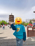 361°童裝 兒童衛衣2024秋季男小童拼接袖運動(dòng)套頭衛衣 藍130 曬單實(shí)拍圖