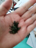 一杯香茶葉綠茶明前高山云霧500g2025新茶春茶禮盒裝自己喝日照足送禮 曬單實(shí)拍圖