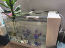 添悅新款側(cè)濾魚缸客廳金魚缸自循環(huán)帶蓋桌面斗魚缸家用增氧小型一體缸 E-40缸【標(biāo)配版】 曬單實拍圖