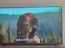 Vidda X 2025款 65英寸 Mini LED【送裝一體版】528分區(qū) 以舊換新家電國家補(bǔ)貼液晶電視空調(diào)最佳CP 曬單實(shí)拍圖