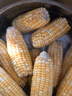 【云南高原玉米】現摘新鮮水果玉米新鮮甜玉米棒生鮮蔬菜可生吃 新鮮水果玉米 5斤 凈重 300g起 曬單實(shí)拍圖