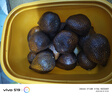 果蜜美印尼蛇皮果新鮮罕見(jiàn)稀有進(jìn)口熱帶時(shí)令孕婦水果現(xiàn)應(yīng)當(dāng)季發(fā)整箱順豐 2斤 5A大果（順豐快遞）商超品質(zhì) 曬單實(shí)拍圖