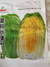 IDEAL夏陽(yáng)大白菜種子夏季抗熱耐高溫蔬菜籽早熟耐熱結(jié)球大白菜種子大全 曬單實(shí)拍圖