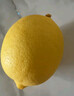 京鮮生 安岳黃檸檬16粒 單果95g-120g 生鮮水果 曬單實(shí)拍圖