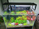 尼特利AT5S水草燈530S三代專業(yè)級全光譜led伸縮魚缸燈專用植物補(bǔ)光燈 曬單實(shí)拍圖
