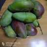 甜果源 攀枝花凱特芒果 四川水果果樹上現(xiàn)摘大青皮芒果新鮮水果禮品包郵 凈重8.5-9斤精選果【單果500g+】 曬單實拍圖