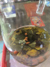 富瑞卡（FairyCare）戒吃手手套防吃手神器寶寶吸大拇指套兒童防啃手小孩咬指甲矯正器 【拇指+食指】雅藍-普裝CG25 XM碼:21-25斤/18月 曬單實(shí)拍圖