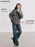 紅袖高級(jí)保暖羽絨服冬季2024新款女裝珩線落肩拉鏈連帽顯瘦休閑短外套 高級(jí)灰064 L 曬單實(shí)拍圖