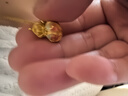 六福珠寶黃金吊墜六字真言福滿傳家足金葫蘆不含項(xiàng)鏈 計(jì)價(jià) 約4.68克 曬單實(shí)拍圖