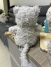 Jellycat英國卷毛小貓咪公仔可愛(ài)萌寵陪伴安撫寶寶玩偶毛絨玩具生日送禮物 卷毛小貓+禮盒 18cm 曬單實(shí)拍圖