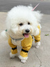 wakytu英國狗狗衣服春夏小型犬比熊可牽引寵物外出防臟四腳沖鋒衣 M碼-【適用于14-20斤以?xún)葠?ài)寵】 曬單實(shí)拍圖