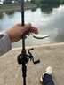達(dá)億瓦DAIWA 24款蜘蛛100 SV/TW  泛用遠(yuǎn)投輪水滴輪路亞漁輪 100HL 曬單實(shí)拍圖