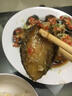 目無(wú)全牛鮮凍大鮑魚(yú) 鮑魚(yú)火鍋燒烤 貝類海鮮 生鮮 冷凍鮑魚(yú) 10-12頭/斤【1包】 曬單實(shí)拍圖