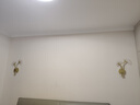 鹿屋全光譜壁燈護眼臥室床頭燈網(wǎng)紅杏葉客廳背景墻燈輕奢走廊過道燈具 護眼光源 金色杏葉A款 三色 厚6CM 曬單實拍圖