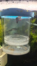 智宙孔雀魚(yú)繁殖盒漂浮魚(yú)缸隔離盒小魚(yú)魚(yú)苗孵化盒母魚(yú)產(chǎn)房魚(yú)缸孵化器 藍色【大號套裝】 【漂浮式繁殖隔離盒-高清透亮】 曬單實(shí)拍圖