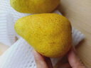 粵迎山東煙臺(tái)太婆梨【收到放軟再吃】新鮮水果梨子當(dāng)季整箱軟糯香甜好 凈4-5斤精選果【單果100g+】 曬單實(shí)拍圖