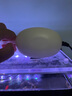 魚(yú)缸氧氣泵usb小型超靜音打氧機增氧機家用養魚(yú)增氧泵釣魚(yú)專(zhuān)用 【臥室靜音】配單氣石(不可調氣量) 曬單實(shí)拍圖