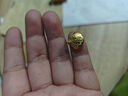 周六福（ZLF）  黃金吊墜女款足金999福字項(xiàng)墜掛墜首飾福氣滿滿 計價 福來運(yùn)到 -1.21g 曬單實(shí)拍圖