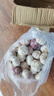 千封河南2025新蒜新干蒜多瓣蒜大蒜頭紫皮大蒜批發(fā) 大蒜 2斤 曬單實(shí)拍圖