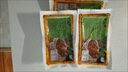 粵味婆【2斤裝】黑椒牛仔骨牛肋條牛排肉 | 原切牛肉預制菜速食熟食食品 黑椒牛仔骨【甄選牛肉】 2斤裝(250g*4包)超值性?xún)r(jià)比 曬單實(shí)拍圖