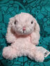 JELLYCAT專(zhuān)柜正品jellycat兔子玩偶Yummy甜美兔毛絨玩具安撫公仔英國代購 粉色甜美兔（贈防塵袋） 曬單實(shí)拍圖
