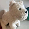 babycare&bctoys兒童毛絨玩具狗電子哈基米寵物玩偶節(jié)日生日禮物西高地犬 曬單實拍圖