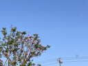 黑鹿（BLACKDEER）戶(hù)外奇域野餐墊 公園野炊地墊露營(yíng)超聲波防潮墊草地爬行墊子300 曬單實(shí)拍圖