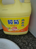 欖菊洗潔精大桶5kg 菊之語檸檬去油果蔬清洗劑餐具食品用級別洗滌靈 曬單實拍圖