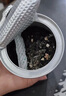 碧歐奇有機海苔碎拌飯料40g兒童不添加油 高鈣高鐵 送寶寶嬰幼兒輔食譜 曬單實(shí)拍圖
