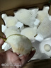 河北鴨梨新鮮10斤應(yīng)當季水果現(xiàn)摘正宗水晶酥白梨雪梨整箱包郵梨子 凈重9斤實惠中果 曬單實拍圖