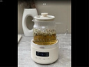 OIDIRE花茶杯 迷你養(yǎng)生杯電燉杯燒水壺養(yǎng)生壺辦公室家用多功能全玻璃電煮茶杯 0.5L ODI-HC06【升級款】 曬單實拍圖