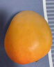 正宗黃金澳芒10斤新鮮大芒果應(yīng)當(dāng)季現(xiàn)摘甜心芒蘋果芒熱帶水果包郵 5斤【進(jìn)口澳芒】 曬單實(shí)拍圖