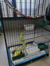 鸚鵡籠家用大號鳥(niǎo)籠豪華別墅加高玄風(fēng)八哥虎皮籠加密豪華繁殖鳥(niǎo)籠 白色長(cháng)42*寬32*高60cm無(wú)輪 基礎款（托盤(pán)+食碗*2+站桿*2） 曬單實(shí)拍圖