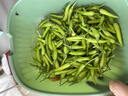 辰實(shí)【現(xiàn)貨】野山椒 廣西新鮮小米辣椒 朝天椒 泡椒 白米椒 3斤 【現(xiàn)摘現(xiàn)發(fā)】 曬單實(shí)拍圖