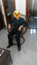 藤工匠陽臺單人真藤椅子庭院休閑靠背椅桌椅家用旋轉(zhuǎn)藤椅老人辦公滕轉(zhuǎn)椅 【黑釉色】單椅+茶幾+tw-11搖椅 天然真藤 曬單實拍圖
