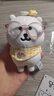 卡丘比【現(xiàn)貨韓國正品】自嘲熊正版玩偶Nagano掛件女朋友禮物代購13cm 自嘲熊+粉鏡+黃色三角巾+甜品勺 曬單實(shí)拍圖