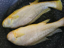 1號(hào)會(huì)員店【山姆同廠】冷凍寧德三去大黃魚 黃花魚 凈重700g/2條裝 水產(chǎn)魚 曬單實(shí)拍圖