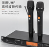 TKL NP500專(zhuān)業(yè)無(wú)線(xiàn)話(huà)筒一拖二 家用KTV音響唱歌會(huì )議演講舞臺唱拉卡OK雙手麥 NP500 曬單實(shí)拍圖