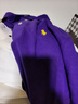 POLO SPORT美國保羅polo衫男純棉翻領(lǐng)大碼t恤男商務(wù)休閑高品質(zhì)短袖T恤男 紫色 M  125-145斤 曬單實(shí)拍圖