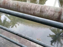 超強仕 工業(yè)消泡劑有機硅污水處理強力廢水除泡液紡織涂料循環(huán)水化泡劑 型號650- 2.5kg 1桶 曬單實拍圖