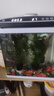 魚之寶（Fish treasure）魚缸水族箱金魚缸生態(tài)魚缸過濾器玻璃魚缸懶人家用客廳彩燈魚缸 CRV280 曬單實拍圖