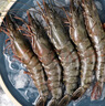 【定制】海鮮大禮包海鮮禮盒海產(chǎn)年貨節(jié)套餐盆菜春節(jié)年夜飯 【10斤10種】含青龍/黃魚/梭子蟹 曬單實(shí)拍圖