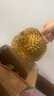 泰國金枕榴蓮鮮果巴掌新鮮榴蓮水果軟糯香甜金枕頭留蓮水果之王 3-4斤單果 曬單實(shí)拍圖