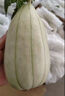 陜西高石脆瓜新鮮水果甜瓜香瓜脆甜多汁薄皮現(xiàn)摘3/4斤整箱禮盒裝 3斤 單果500g+（禮盒裝） 曬單實拍圖