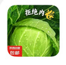 包菜新鮮卷心菜大頭菜農戶(hù)自種當季綠葉蔬菜綠甘藍 綠甘藍 8斤 曬單實(shí)拍圖