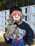 時染柴犬 柴犬幼犬純種狗寵物狗 純種柴犬 幼寵物活體活物 寵物級 公 曬單實拍圖
